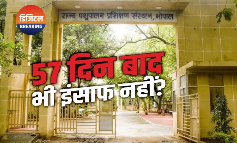पशुपालन एवं डेयरी विभाग: तबादलों के 57 दिन बाद भी सुलझा नहीं विवाद